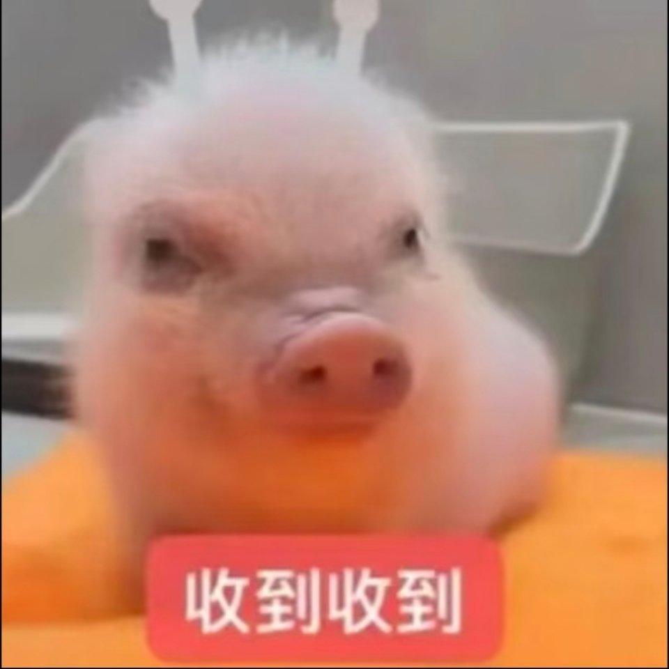 元气满满的一天开始了 ​​​