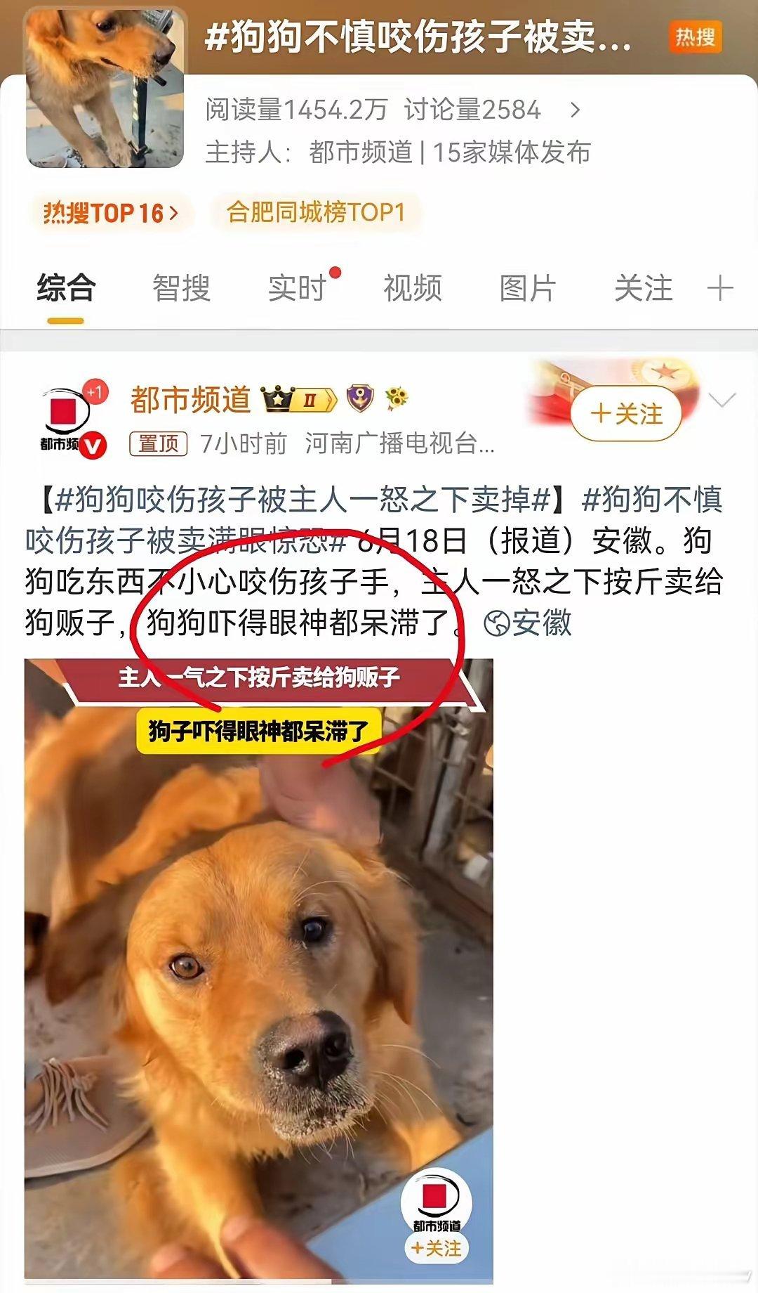 2026年6月14日湖南同一条狗 4 小时咬伤9人后被捕杀；有的人在关心被狗咬伤