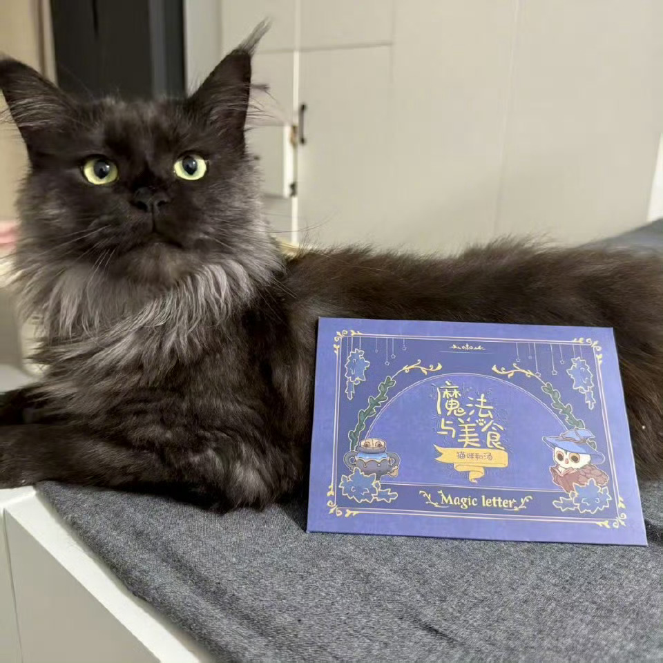 猫咪和汤新作首曝终于等到你！看猫猫们煮汤发呆的日子要回来啦！前作就超治愈，这次新