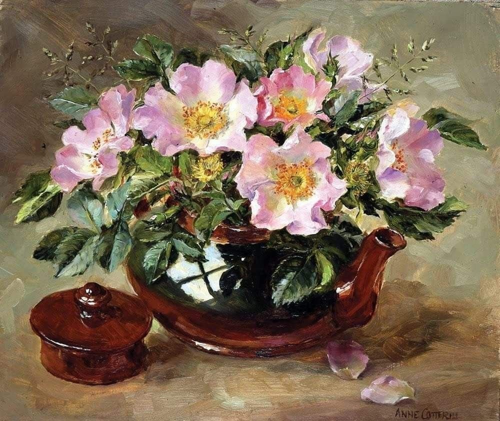 茶壶里的野玫瑰，英国画家Anne Cotterill 