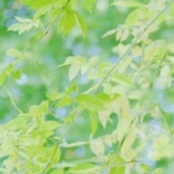 日行一善表示多做善事好事，积善成德。常用于鼓励人们的向善之心，常用的俗语搭配有日