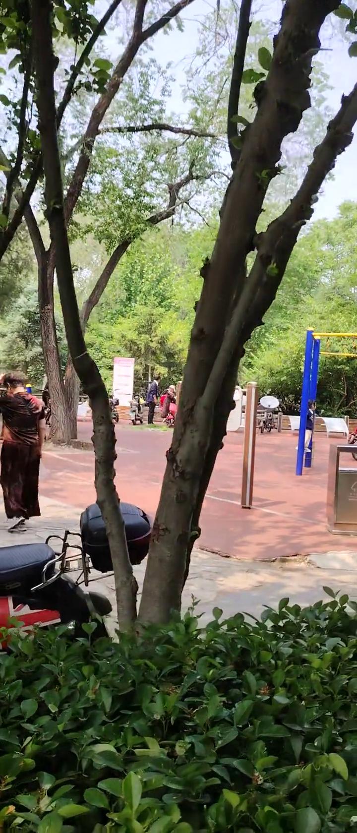 哈哈哈哈。