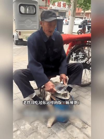 这年头，多少人把“爱”挂在嘴边，转头就忘了身边人的喜好？可安徽阜阳这位90岁老爷
