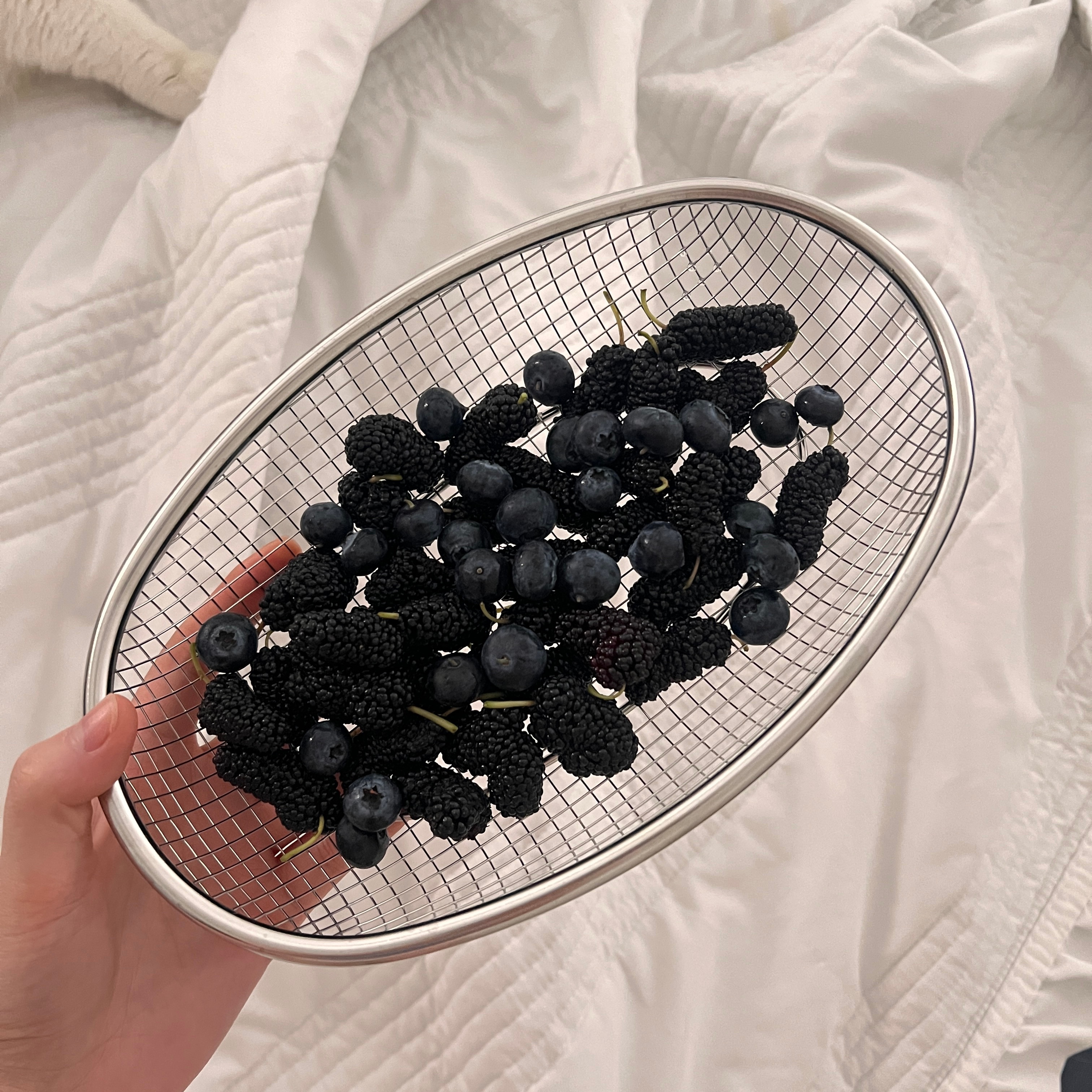 到底是谁想吃 ﾐ・◦・ﾐ ​​​