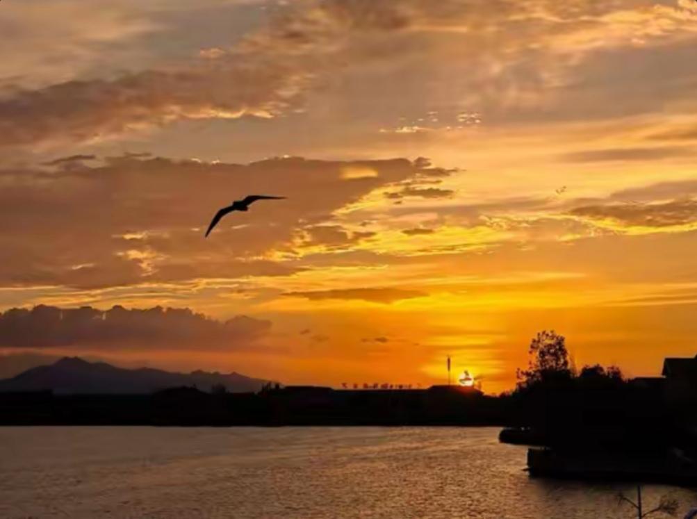醉美不过夕阳红