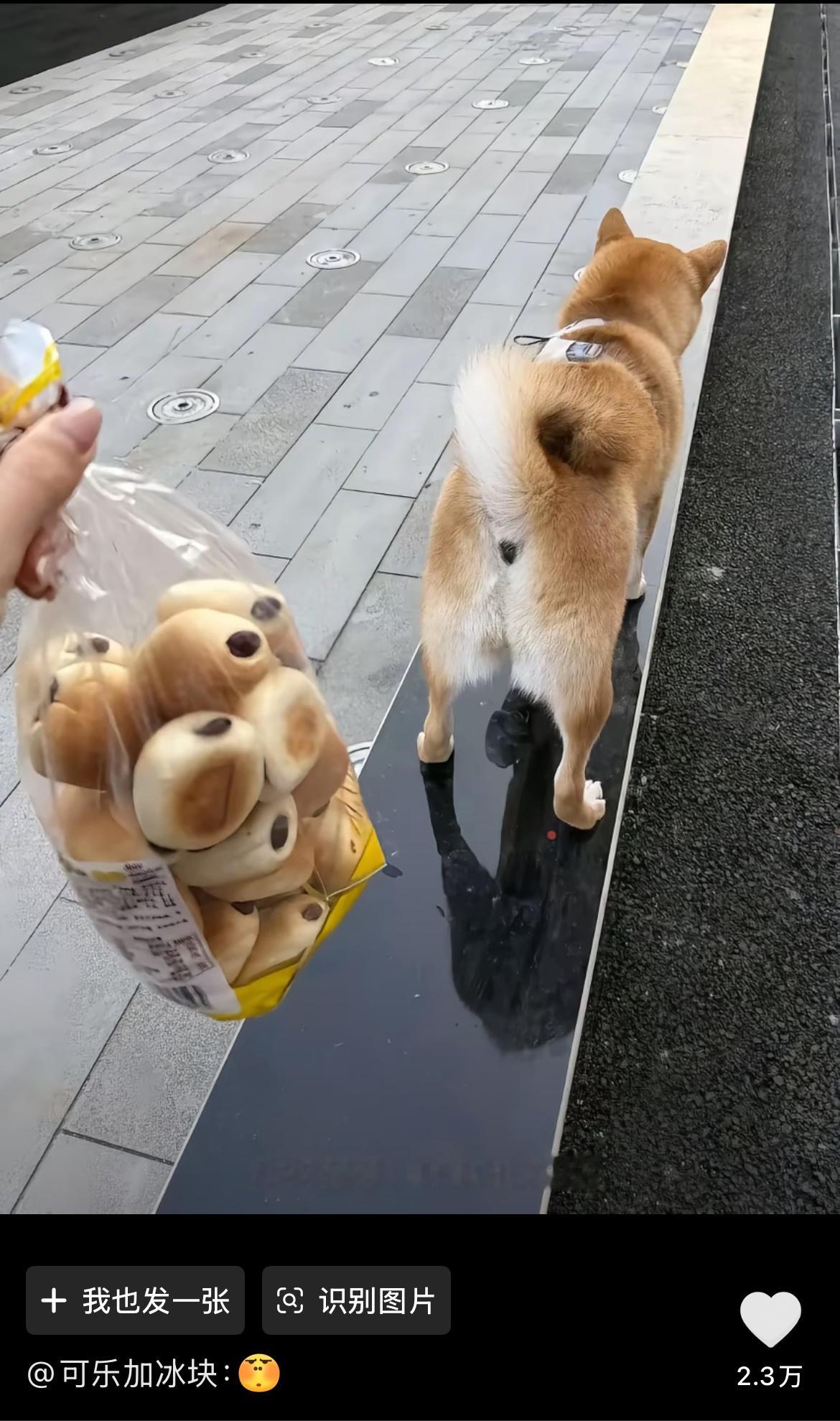 算了你肯定觉得没意思系列 