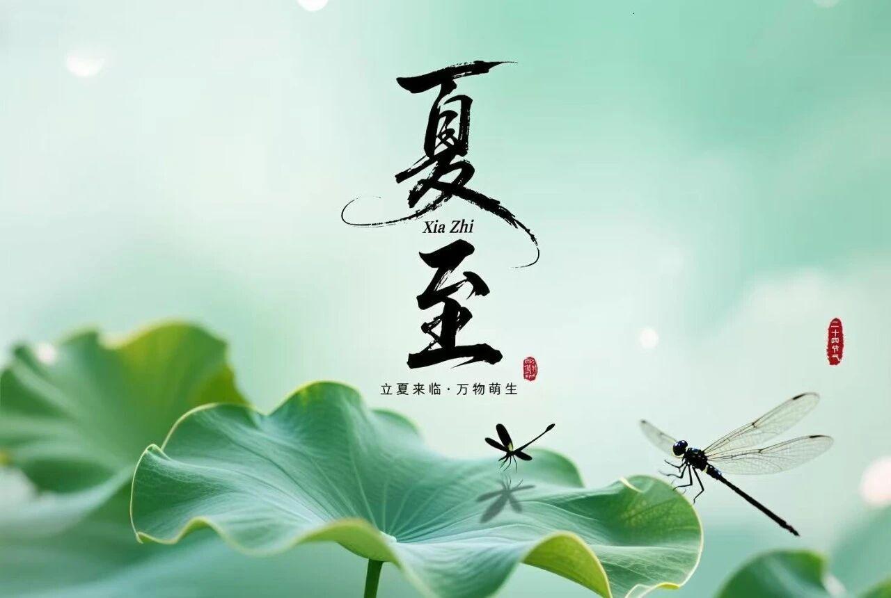 《七律·夏至》
（2026.6.21）

昼极天长暑气微，
晴光漫卷透窗扉。
荷