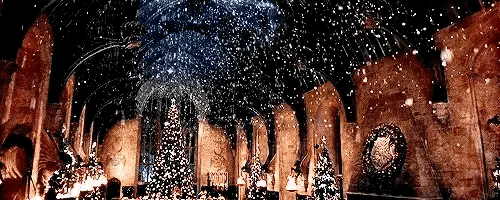 圣诞快乐~来霍格沃茨过个圣诞节吧🎄🦌🎁.  * ❄️.      • . 