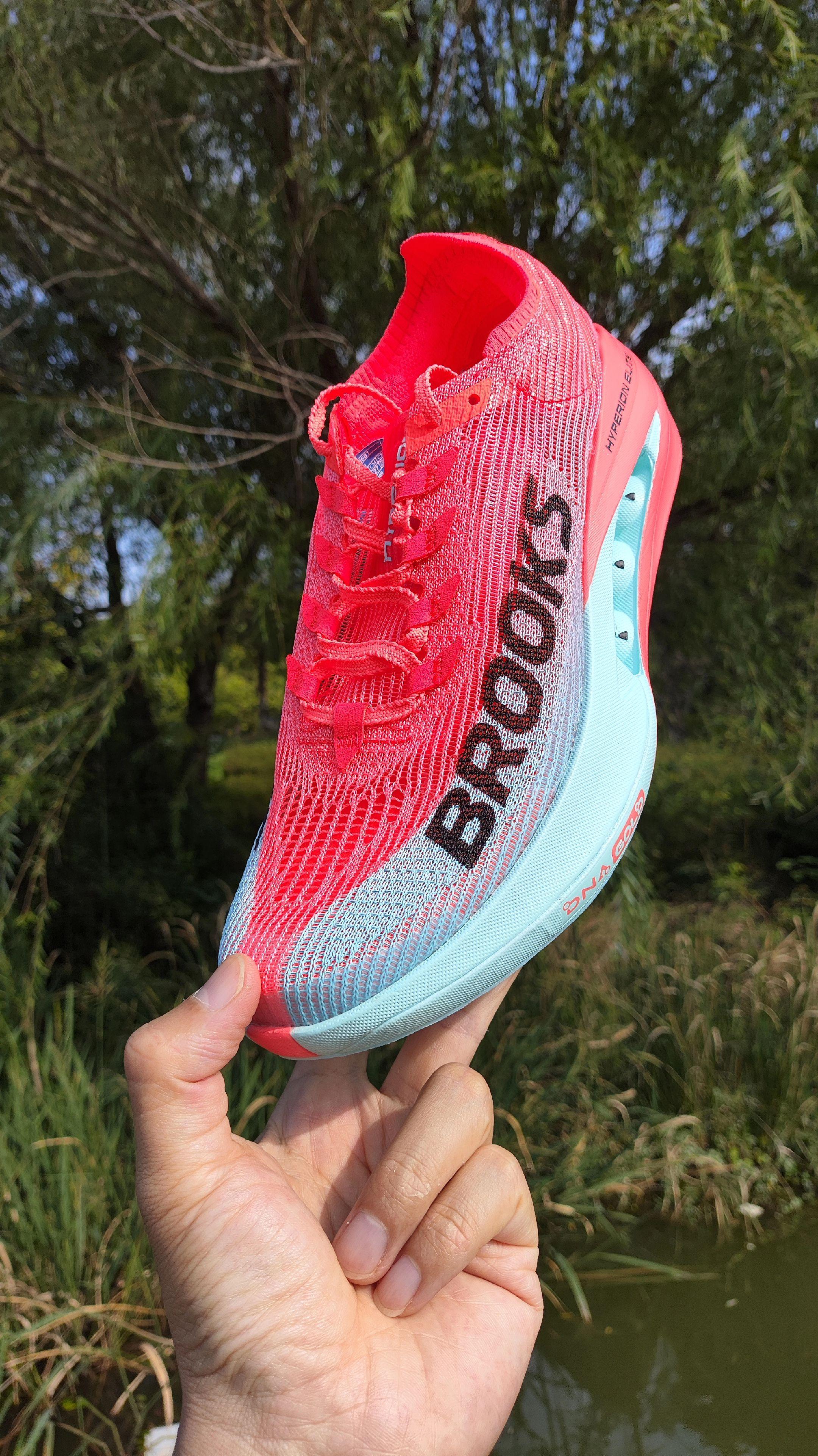 一句话点评一下下【龙卷风5】