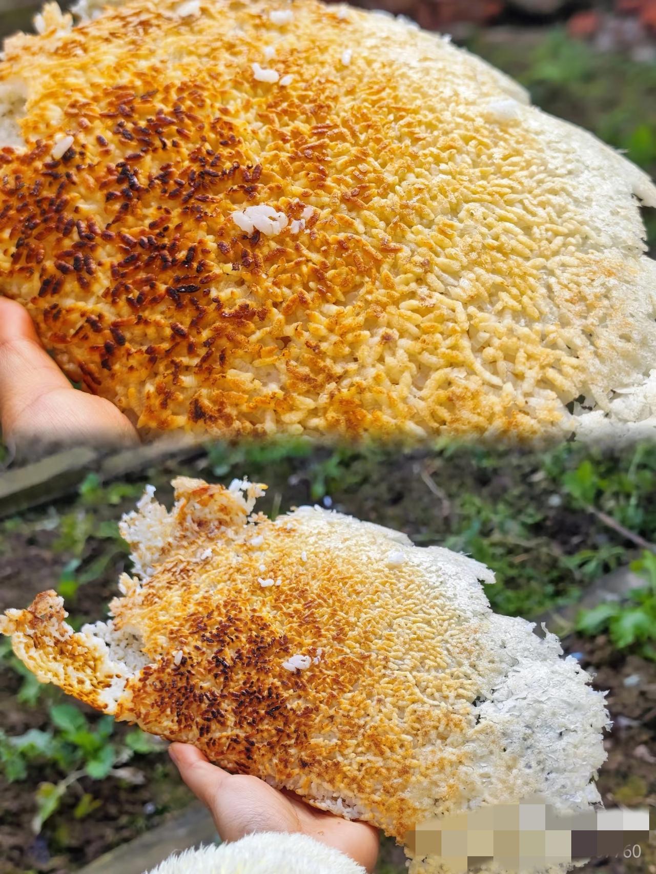 你喜欢吃柴火灶做的食物吗?
巨爱啊！柴火灶做的饭真的自带锅气，不管是焖饭还是炖菜