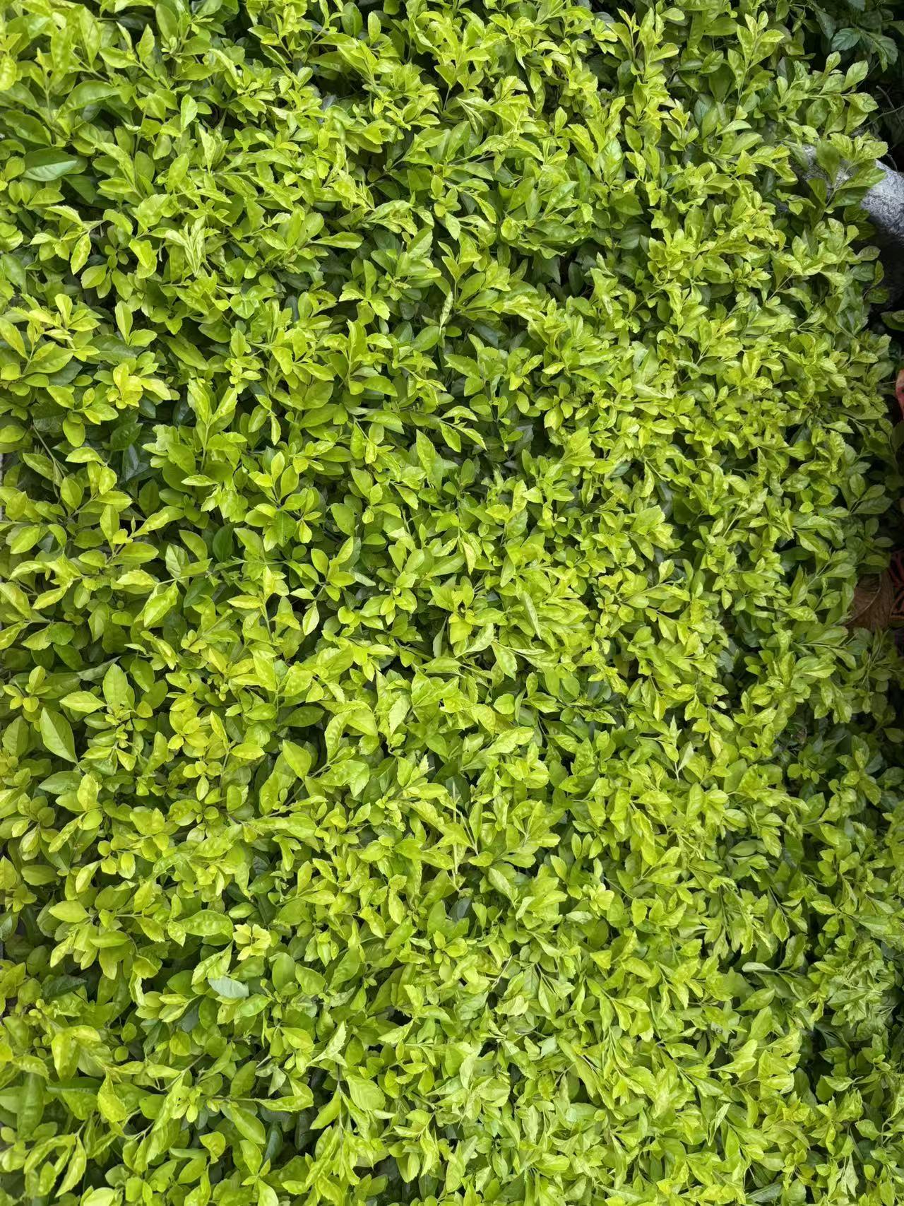 你觉得人生怎样过才有意义当一个人回首往事他不被虚度光阴而懊悔，也不会碌碌无为而羞