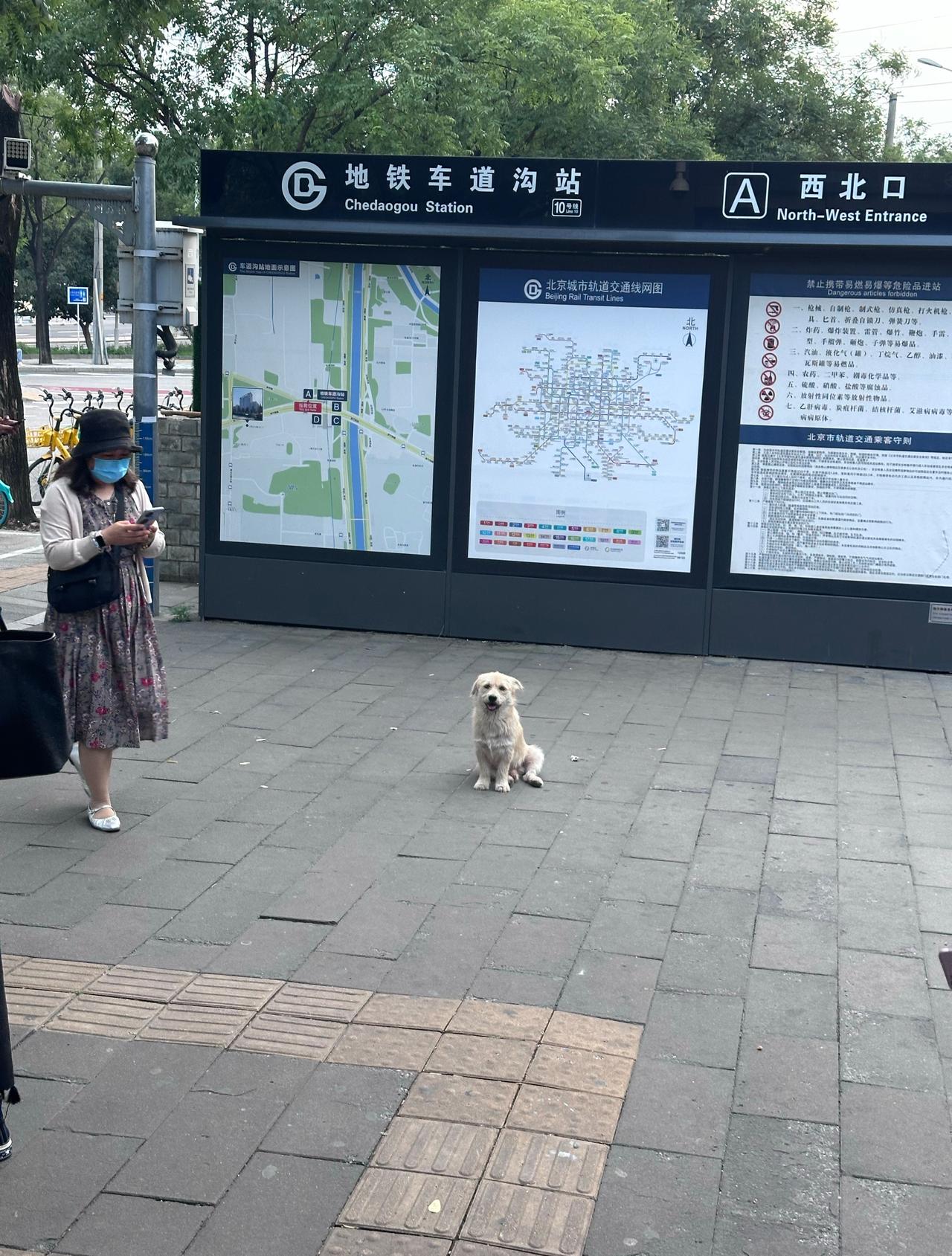 你也有人要等吗