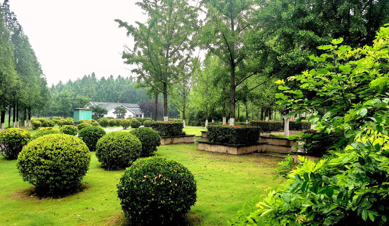 公园美丽景随拍今天在公园晨练，看到一处小景，虽然没有湖泊山川那样的震撼，但还是使