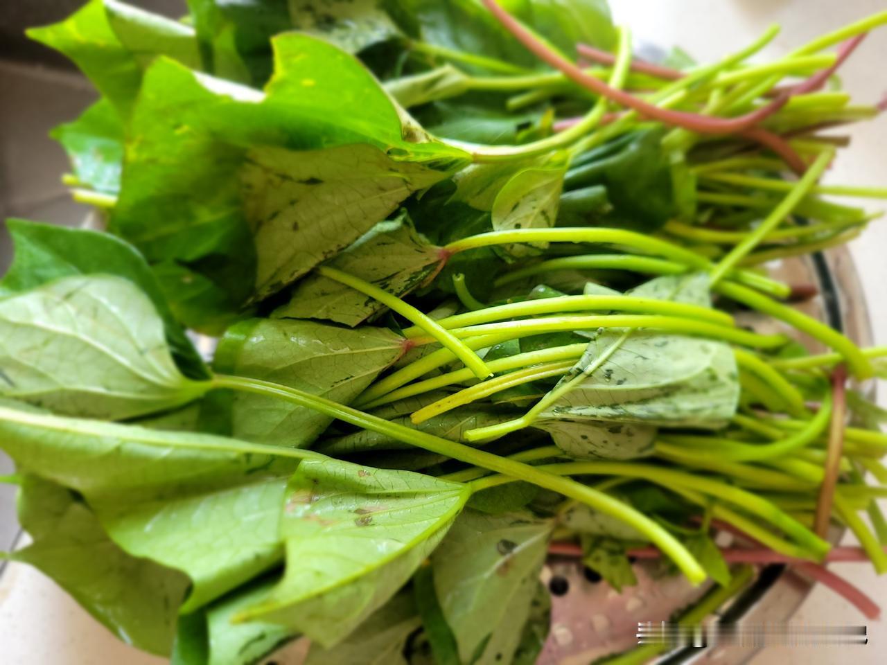 我吃过用地瓜梗做的咸菜，也吃过用干地瓜梗炖排骨，都是在别人家吃的，而且觉得特别好