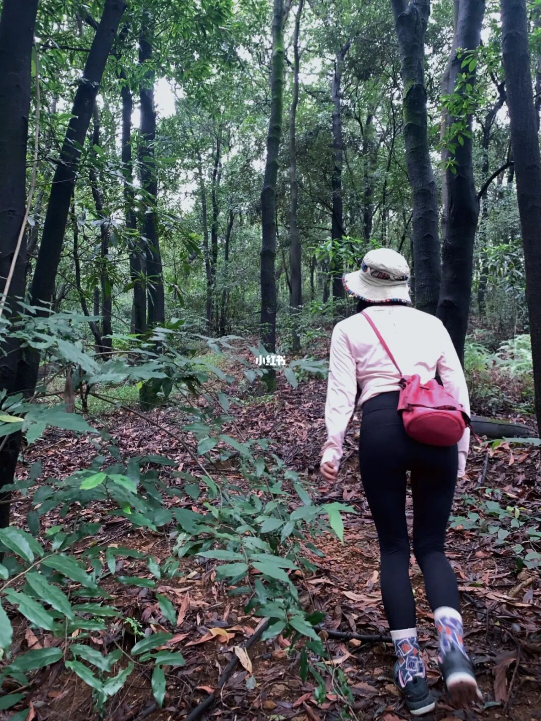 和我一起去徒步⛰️白云山下元田五雷岭环线👣