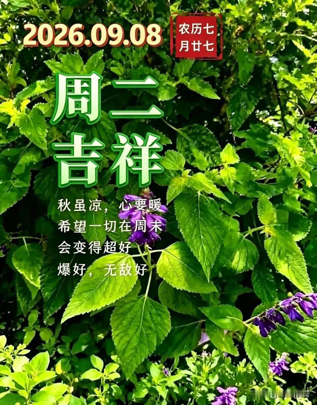 贫困生能不能追星追星是个人自由，没必要区分经济条件。不过不管是不是贫困生，追星都