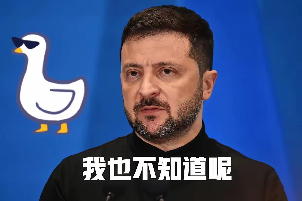 就在刚刚
泽连斯基宣布了！
9月17日，乌克兰总统泽连斯基和欧洲议会议长梅措拉又