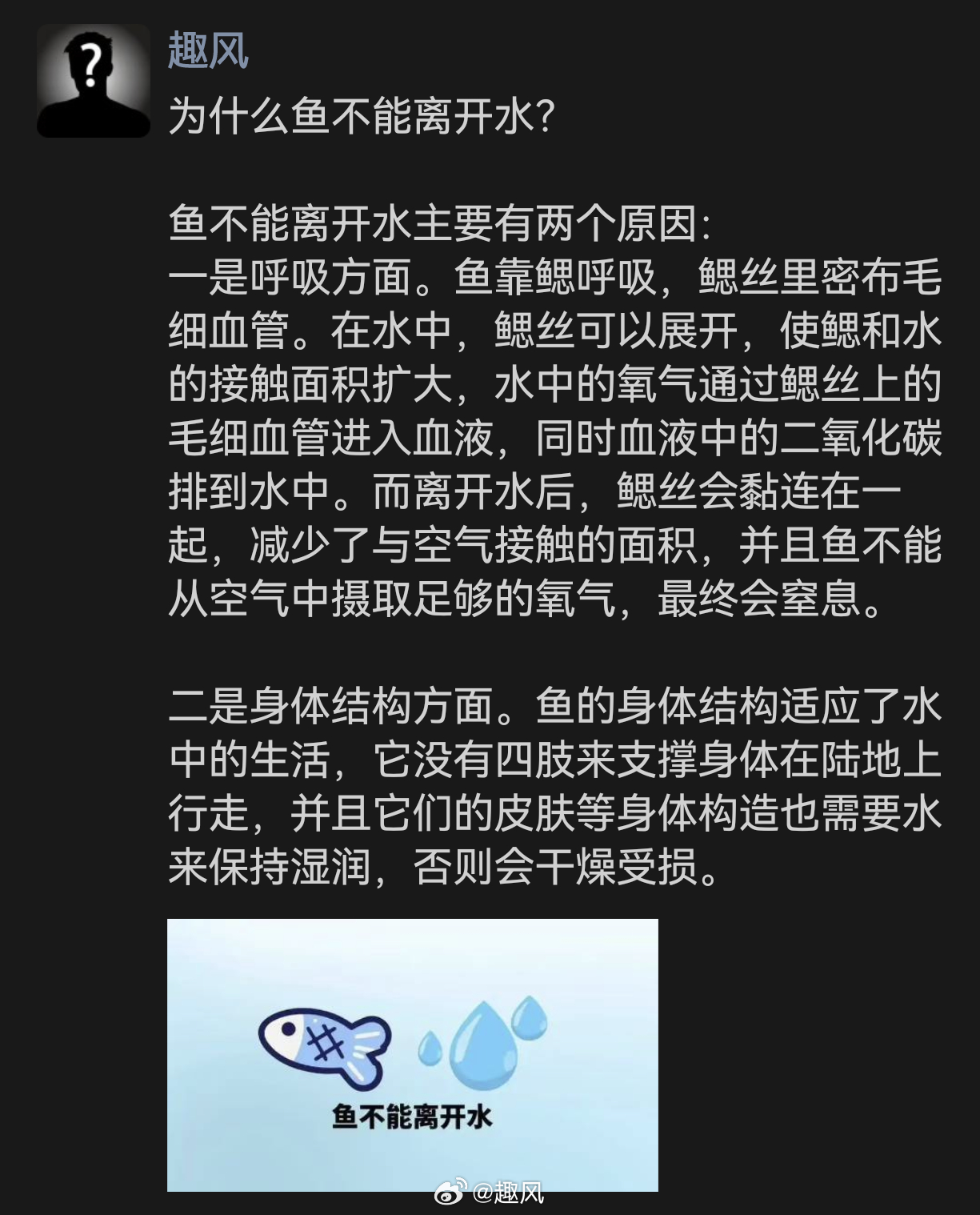 为什么鱼不能离开水？ 