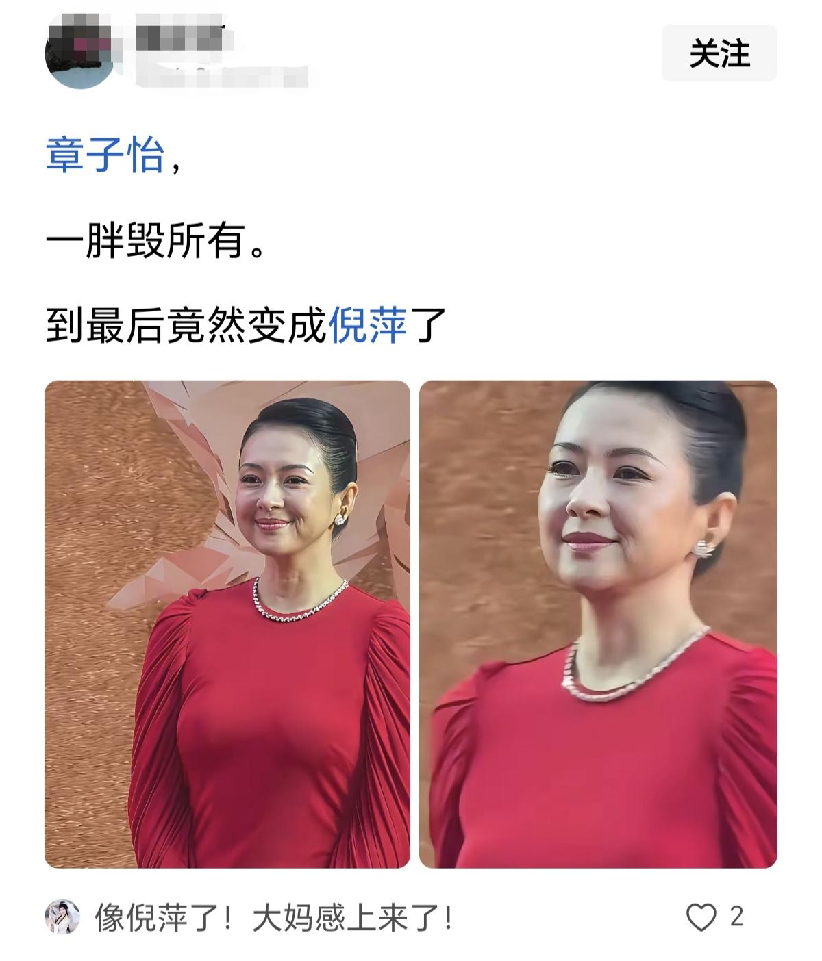 网友太有才了，说章子怡一胖毁所有，到最后变成倪萍了。我就说看章子怡怪怪的感觉，说