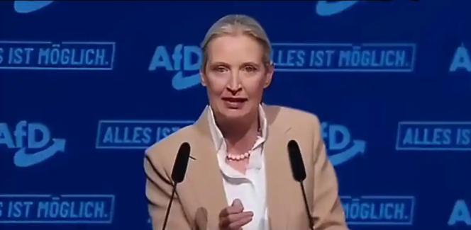 彻底翻脸！德国政坛强硬派摊牌：对乌援助必须立刻喊停，半毛钱都别再掏！

欧洲政坛