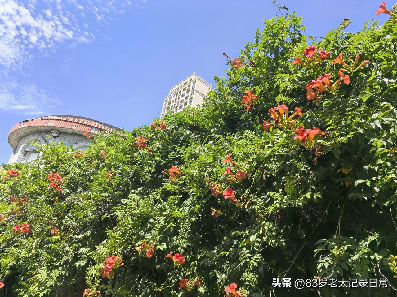 请用一句话概括一下，什么是幸福身心健康，无病无灾，无忧无虑，自足自给，自力更生，