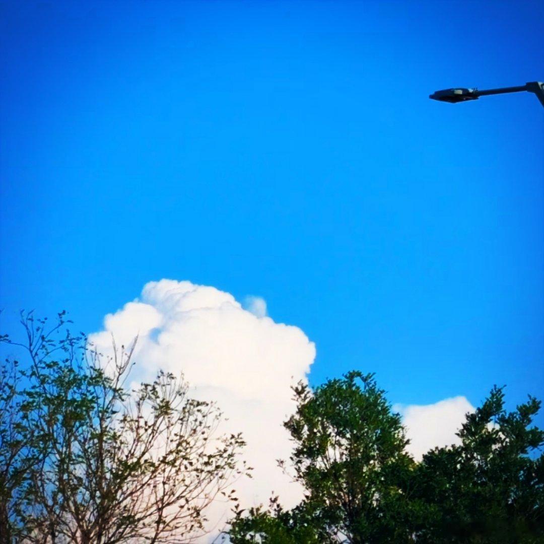 早安 人生的本质，就是一个人活着，不要对别人心存太多期待。大多数时候，惊天动地的