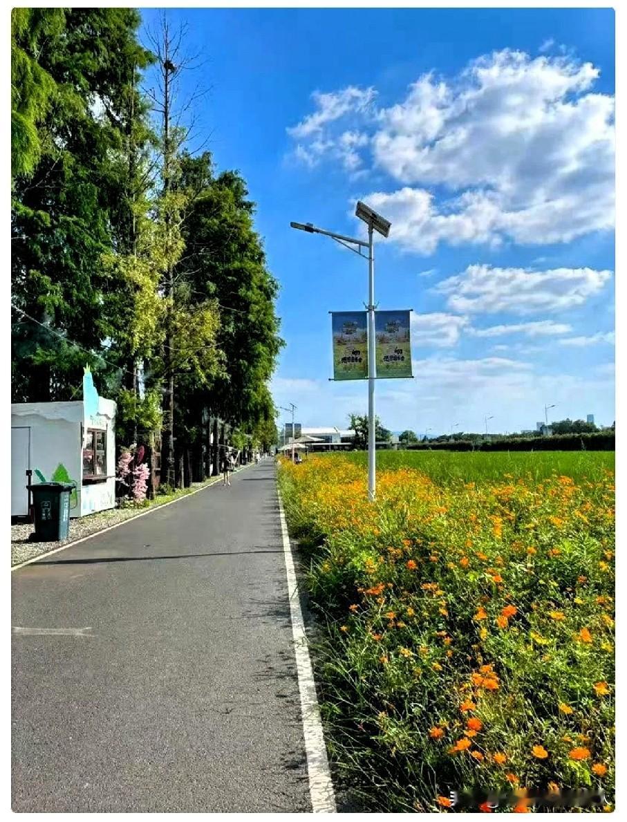 我被儿子气死了
儿子今年已经30岁了，工作了五年拿着自己存的70万就在家什么都不