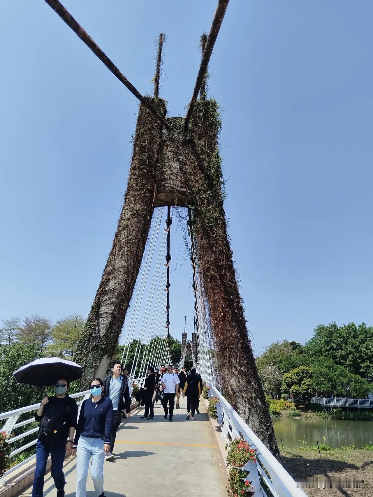 海珠湖湿地公园紫金花大道，风铃木，无忧花，广州樱花。