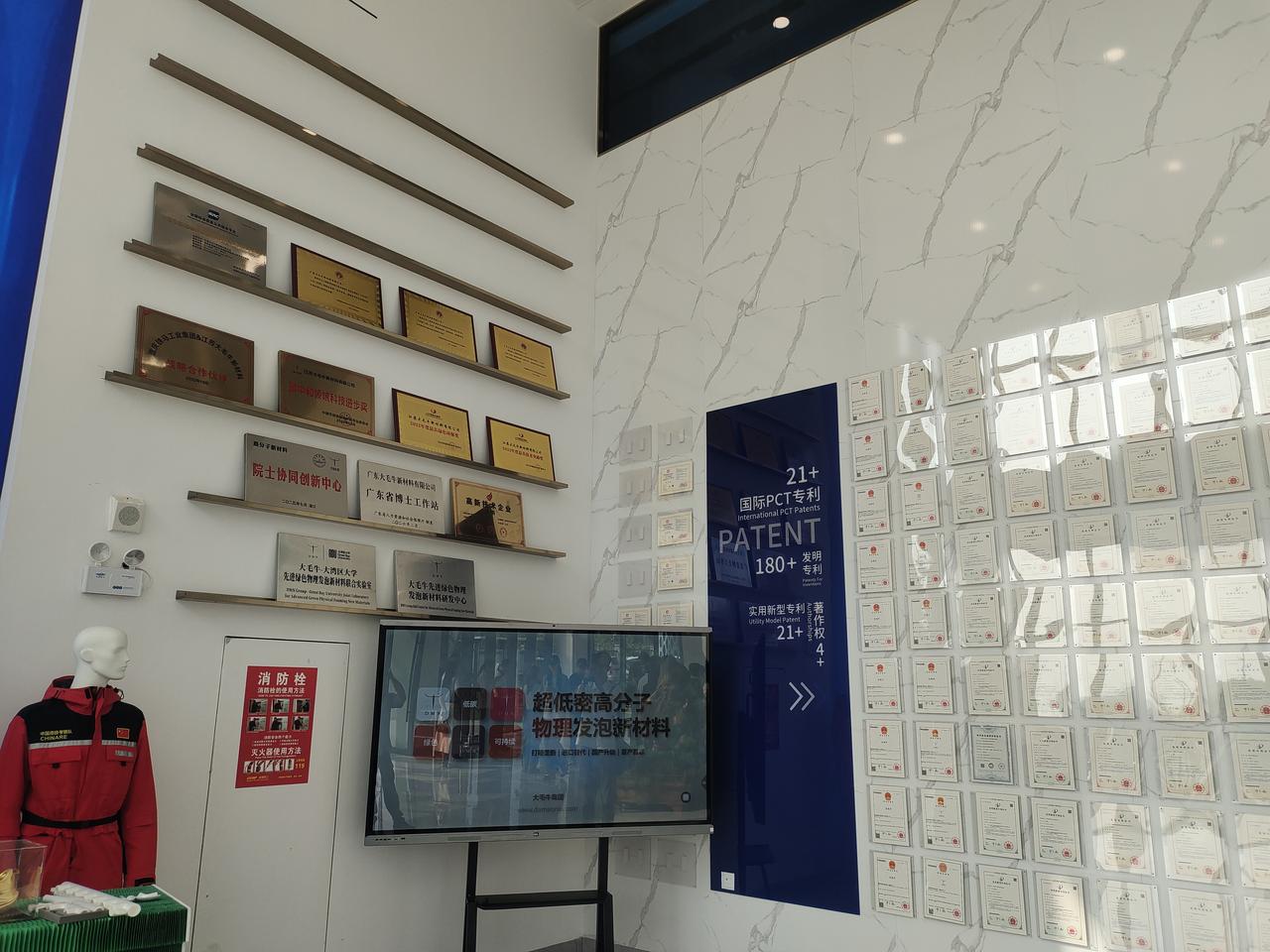 投资12亿！大毛牛扎根雷州，一块发泡材料撑起20亿产值


湛江雷州，过去给人的