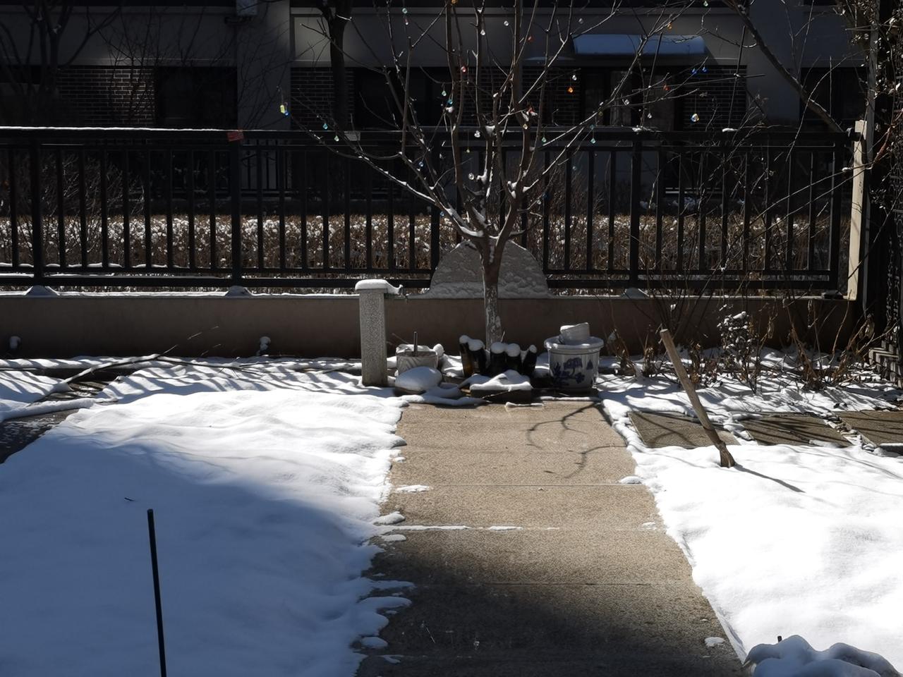 2026年三月第二场雪