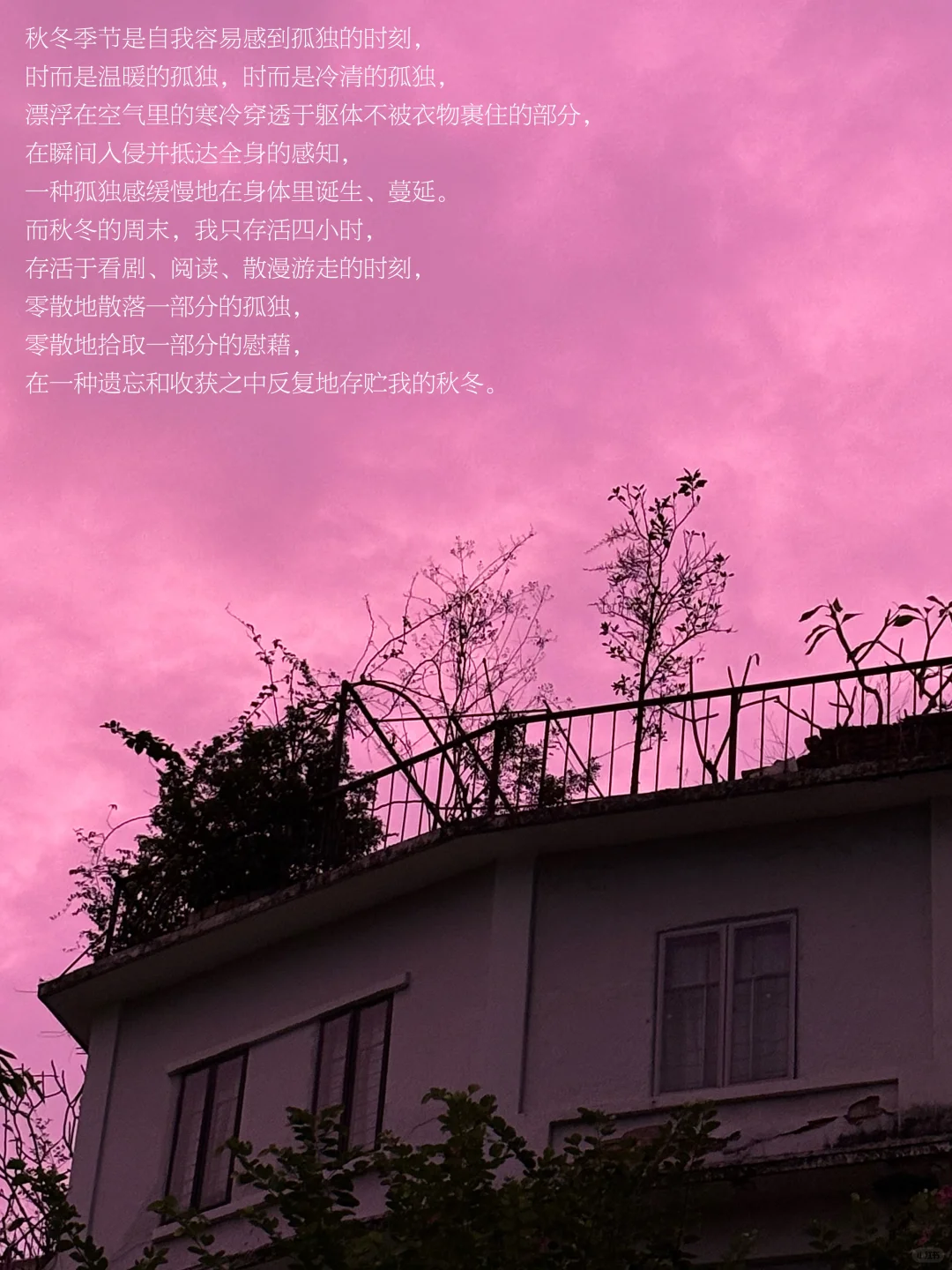 秋冬是自我容易感到孤独的时刻