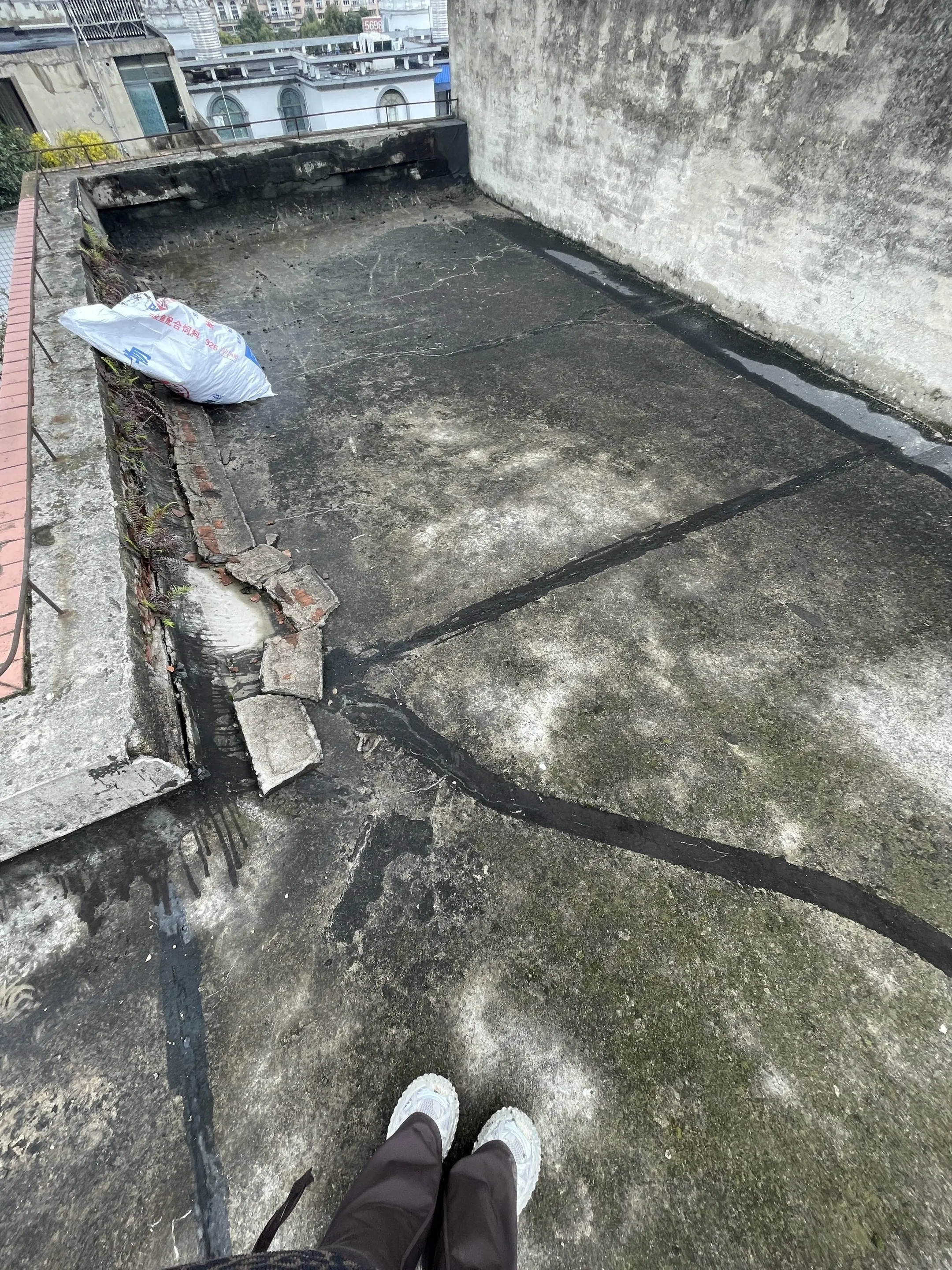 报告朋友们，顶层清理了，下一步怎么指示