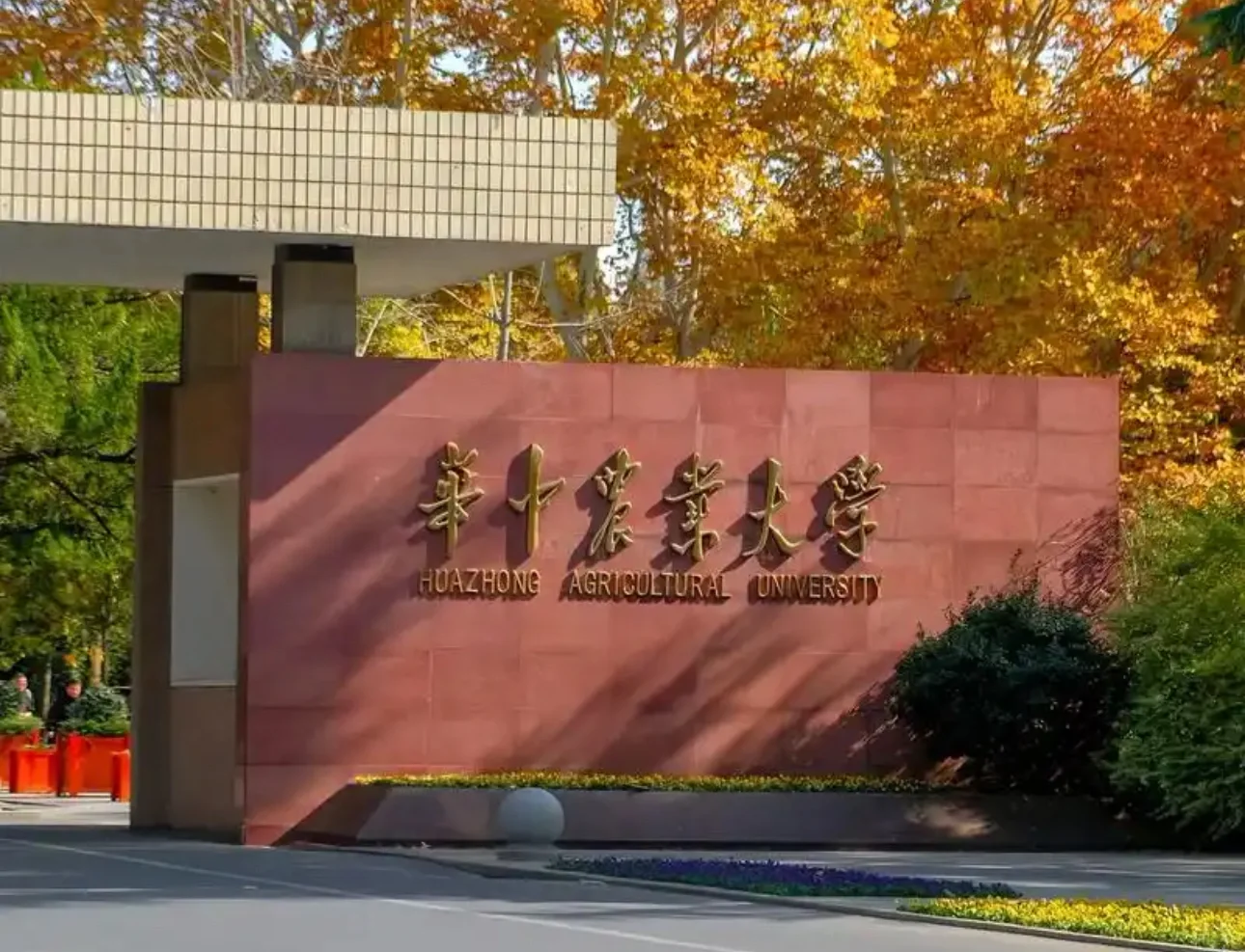 华中农业大学虐猫处理的结果合情合理