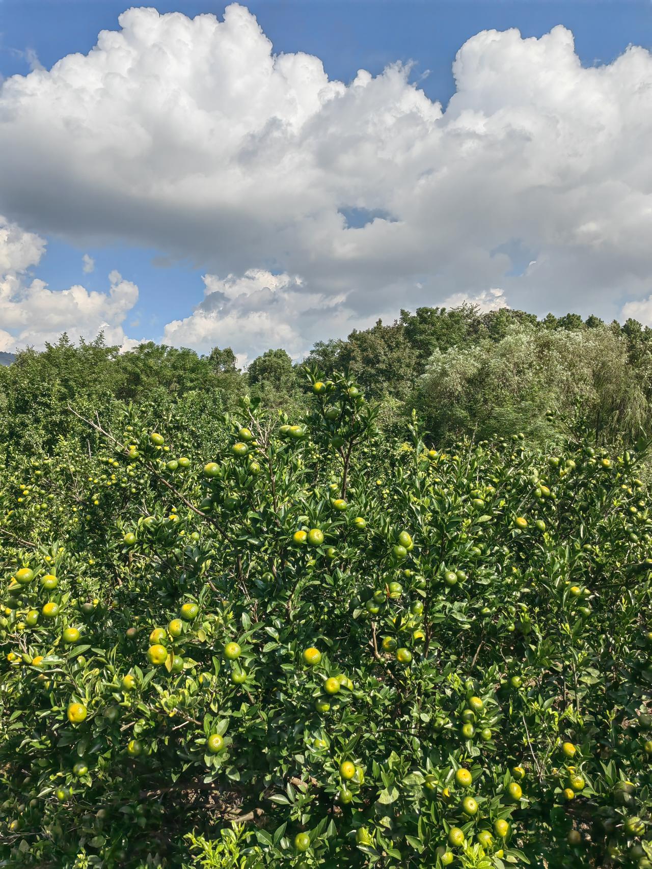 这次国庆节期间物流和快递行业也放假么，我印象中十一那天在高速上还是看见了挺多快递