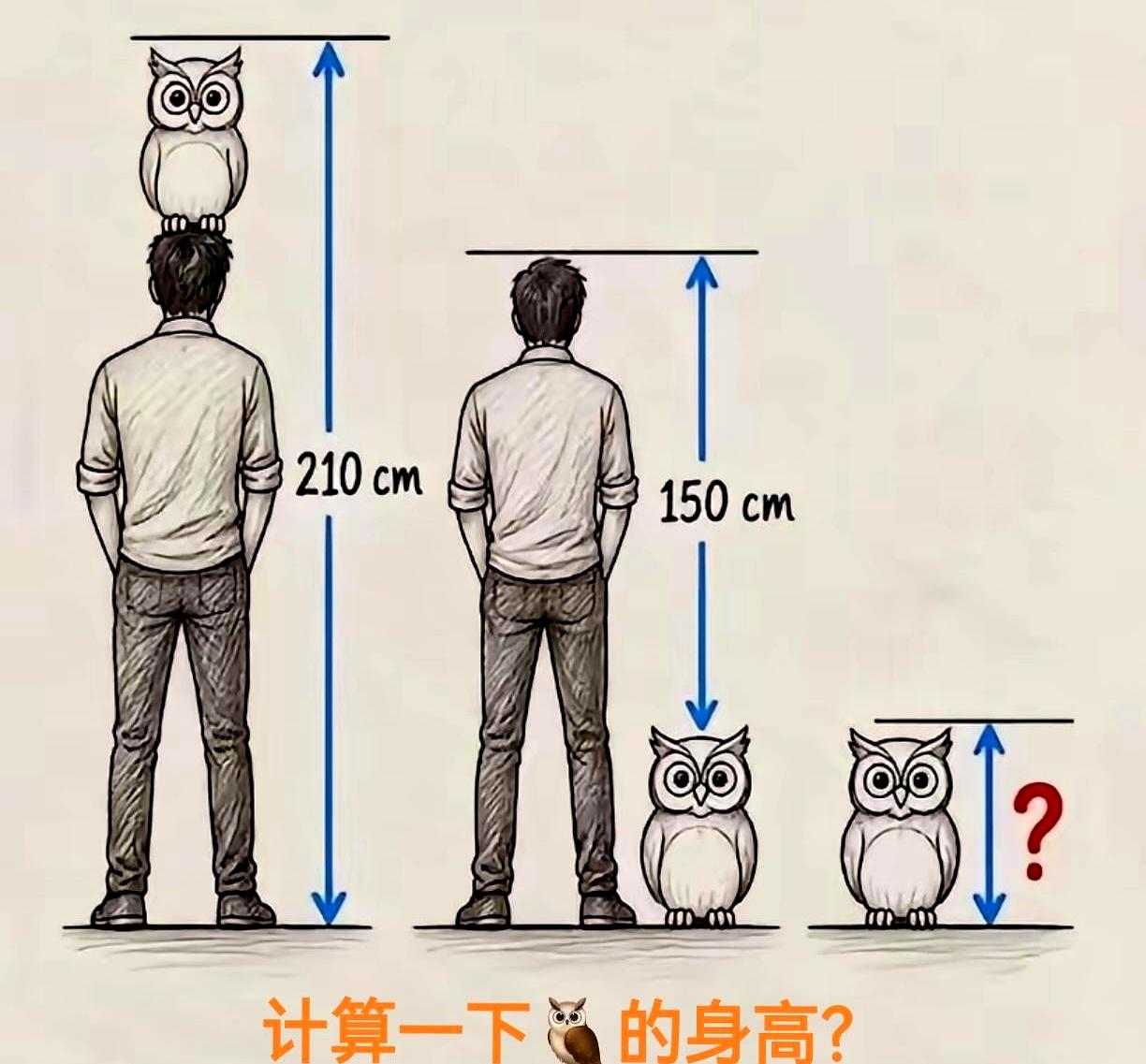 猫头鹰到底站多高，人又站多高，这题真把一群大人给干沉默了。
跟朋友争了半天，草稿