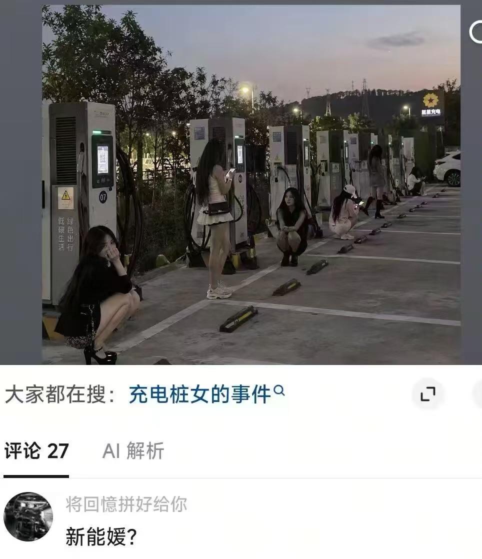 这位网友你太聪明了，居然成功创造了一个新名词：新能媛！