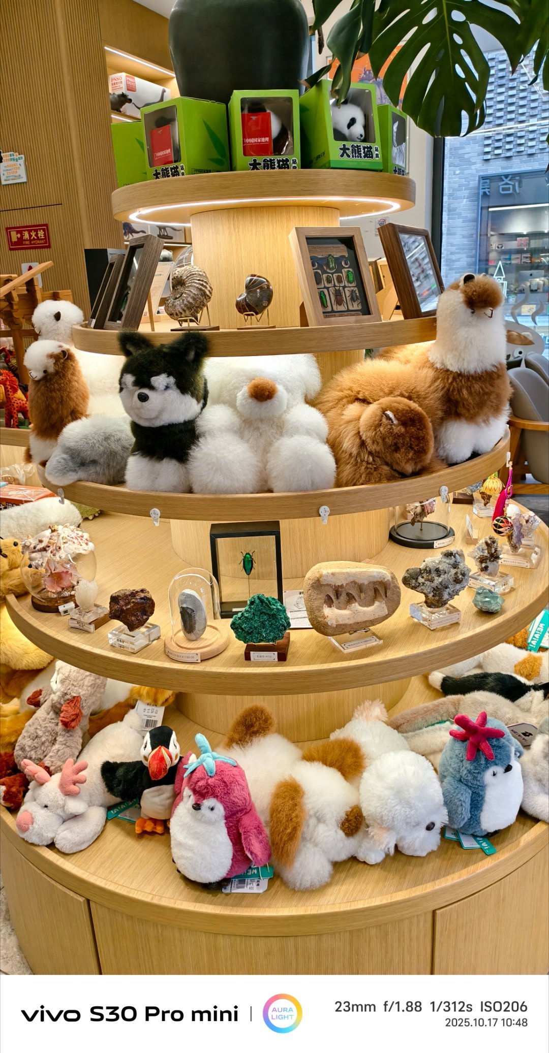 京西福地门头沟离开避世的山野，来到新生活的小镇，孩子可以在这里体验自然的神奇，大