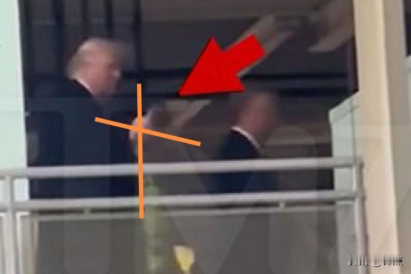 特朗普朝抗议者竖中指。

美国总统特朗普1月13日（当地时间），在福特工厂向一名