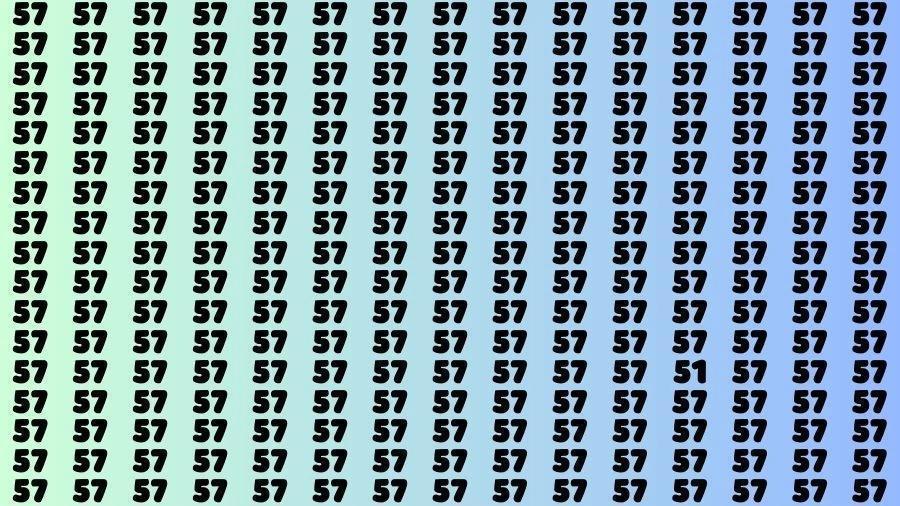 这是一场视觉大挑战！满屏都是 “57”，但有一个 “51” 藏在其中，快用你的眼