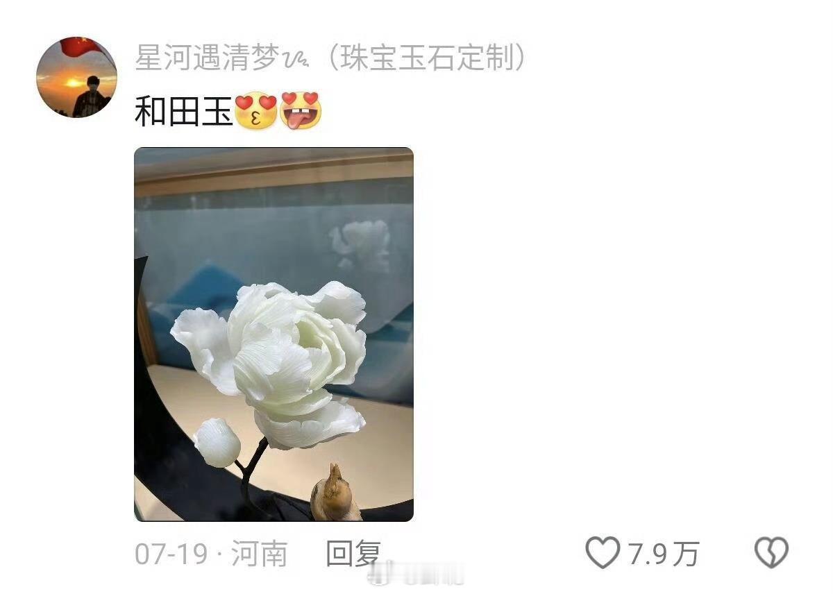终于知道为什么小说女主会为一个簪子大打出手了 
