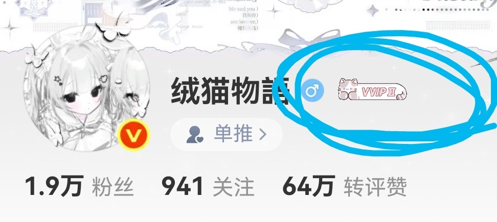 难道没有人觉得我新换的vvip标志特别可爱吗TT 