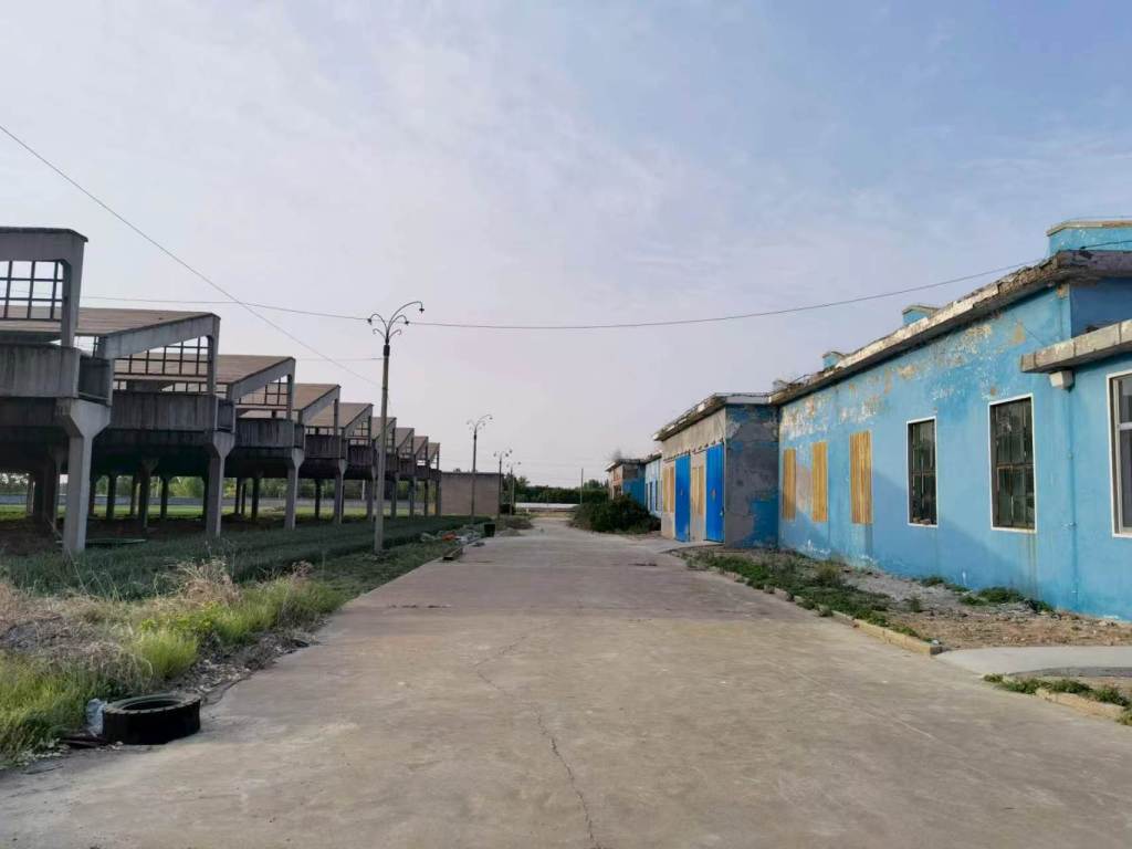 广东一国企北上淄博建“烧烤园区”遇阻：拿了土地证，地上20间房屋遭法拍易主