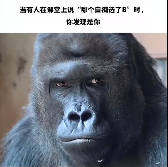 那太生活了