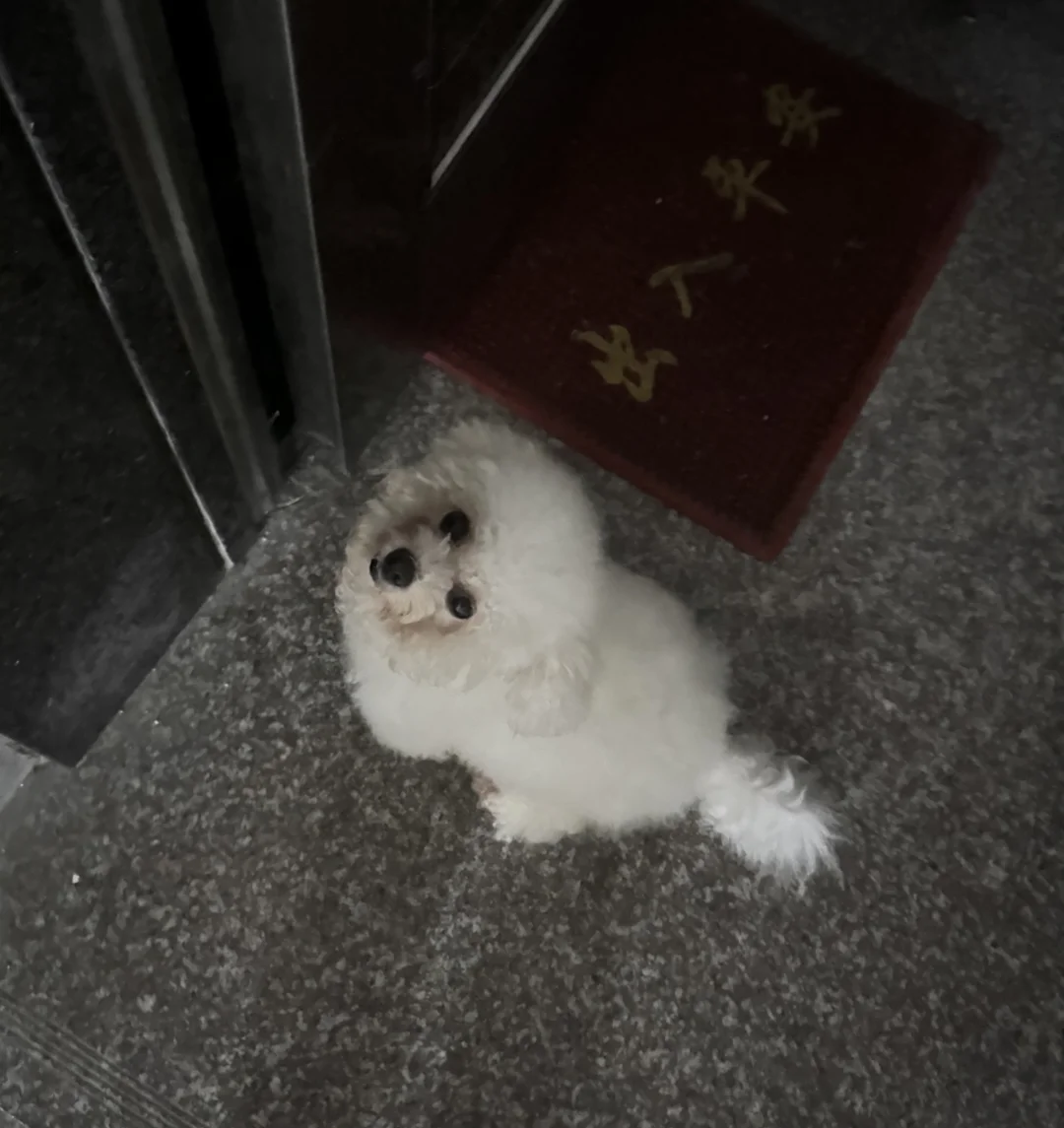 不是不报时候未到