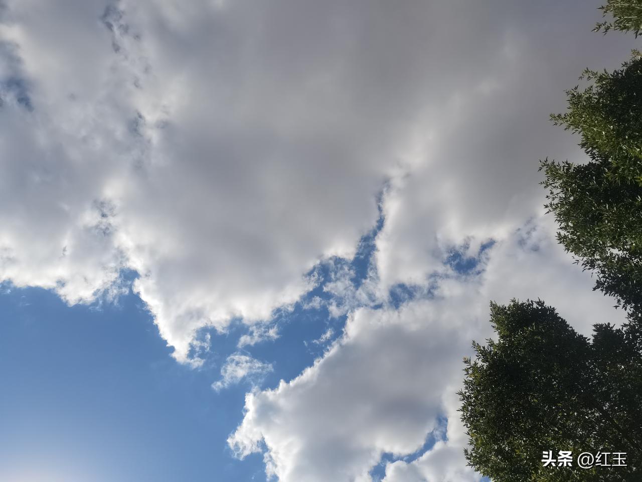 武大郎这辈子最拧巴的事，就是硬攥着不属于自己的东西不肯放。

身高不到五尺，靠卖