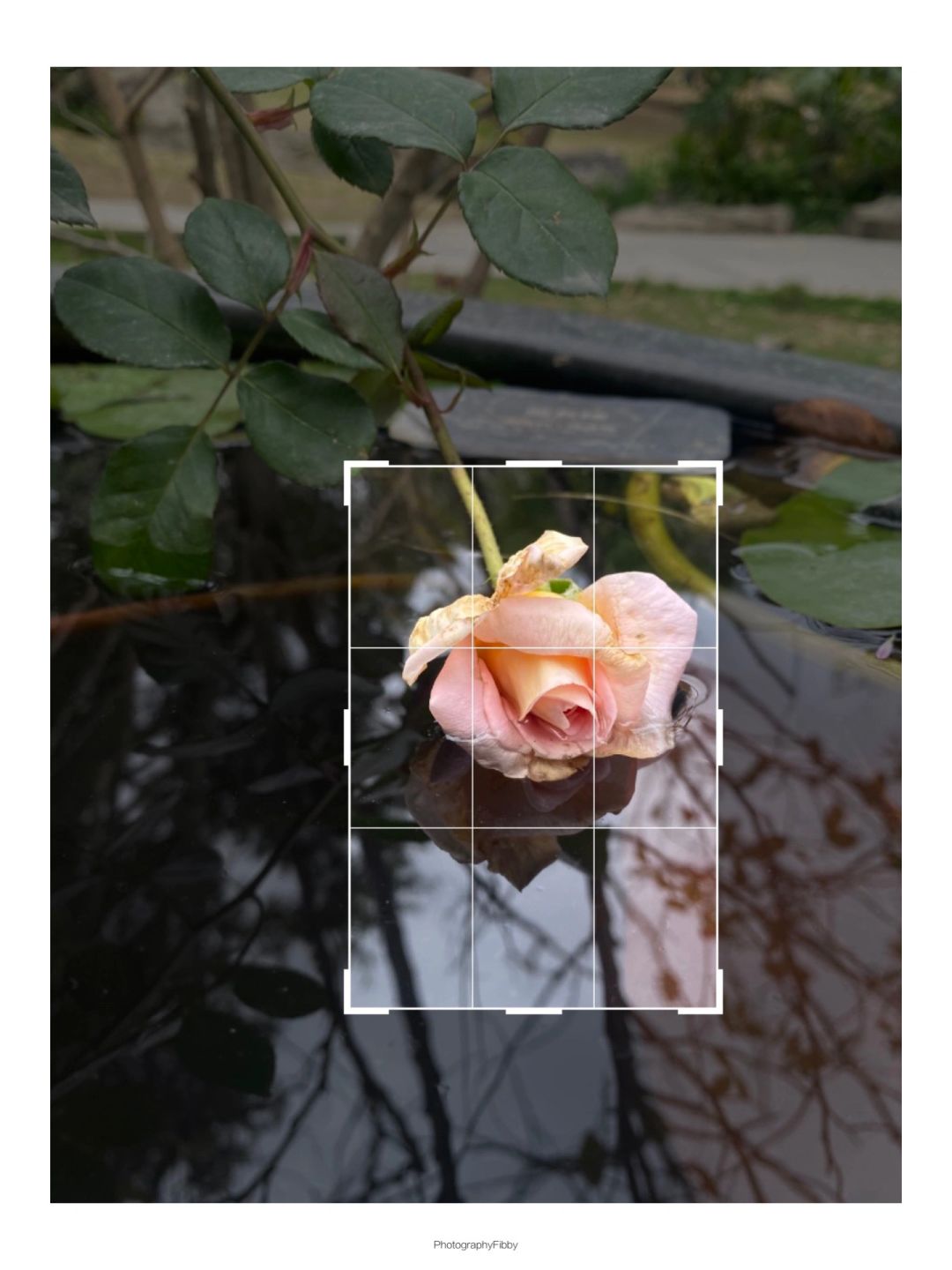 废图别删❗️这样构图居然也秒变清冷高级质感