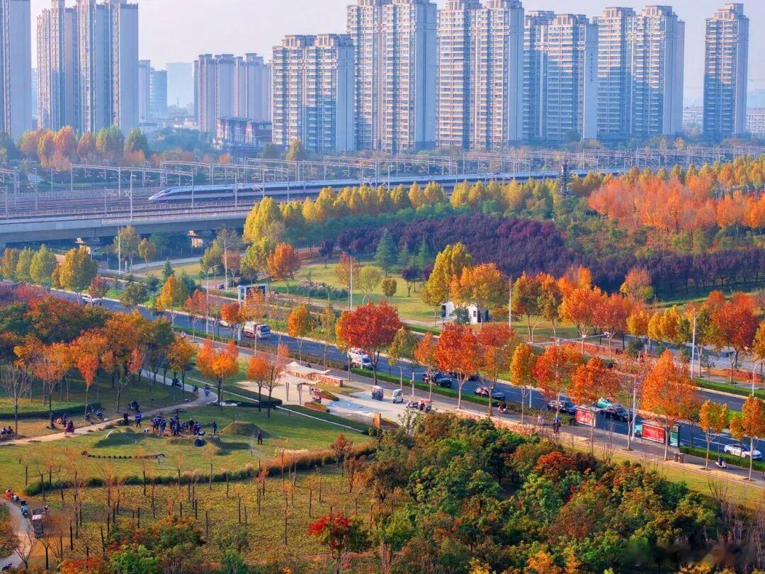 【被发现了！郑州东区深秋初冬的最美打卡点 】总有人说，郑州没有秋天，还没好好感受