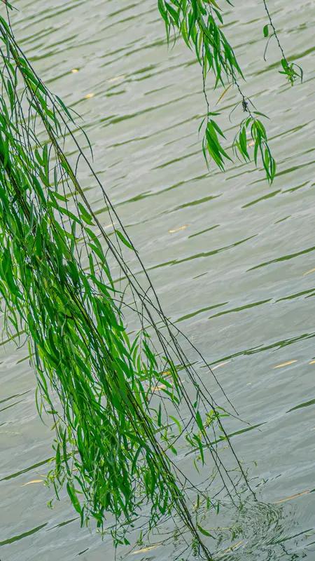 上联：胸怀日月，人间自有清风在；
下联：气吞山河，腹中常存赤子情。