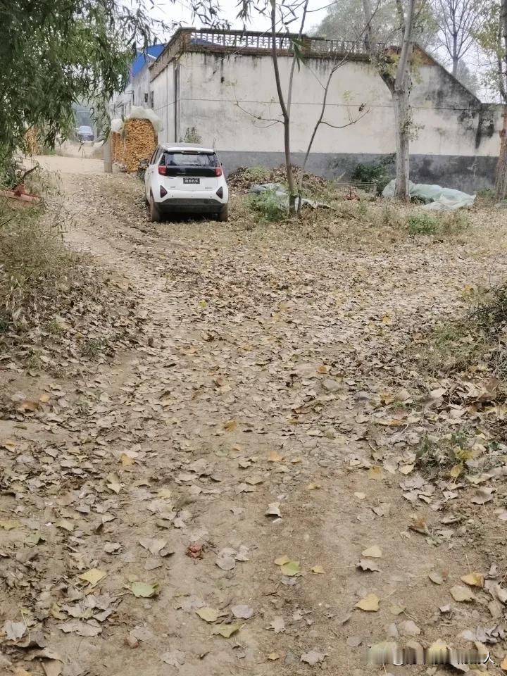 乡村原生态风景随手拍