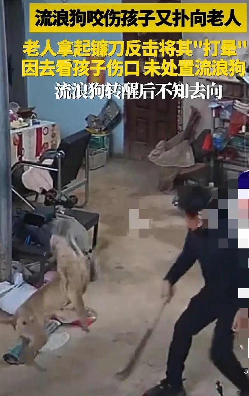 看着都吓人，老人临危不惧，打狗棒法纯熟，潇洒自如，恶犬咬人，不服就干！一旦咬了人